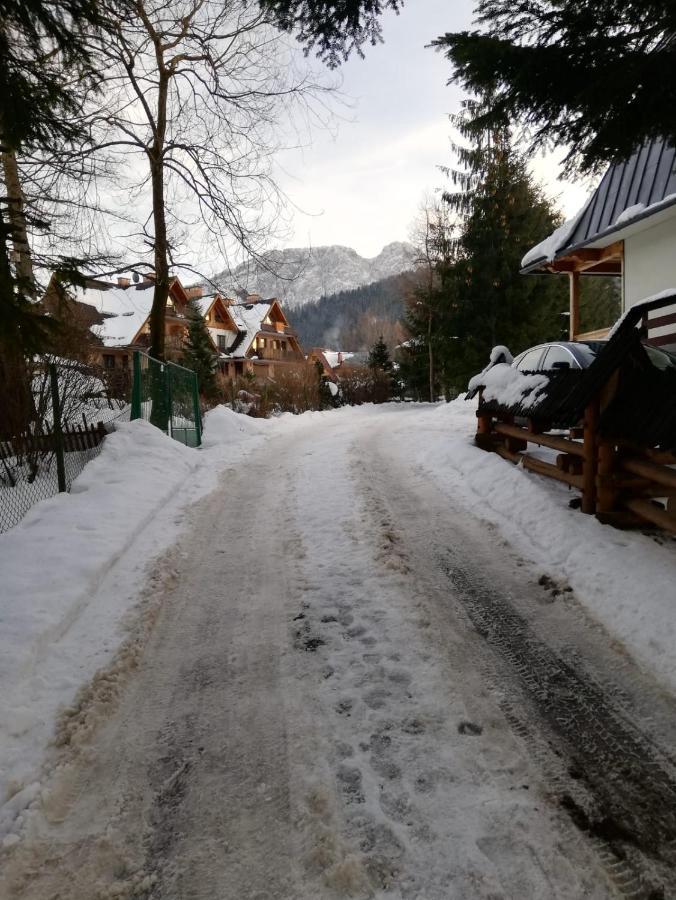 Apartamenty Villa Ski-Bowki Zakopane Eksteriør billede
