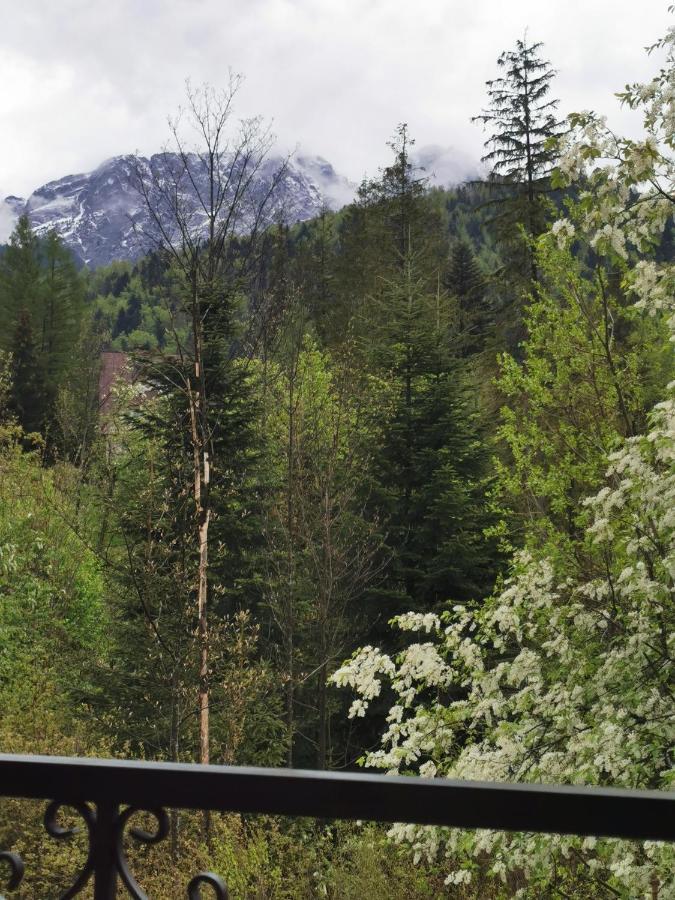 Apartamenty Villa Ski-Bowki Zakopane Eksteriør billede