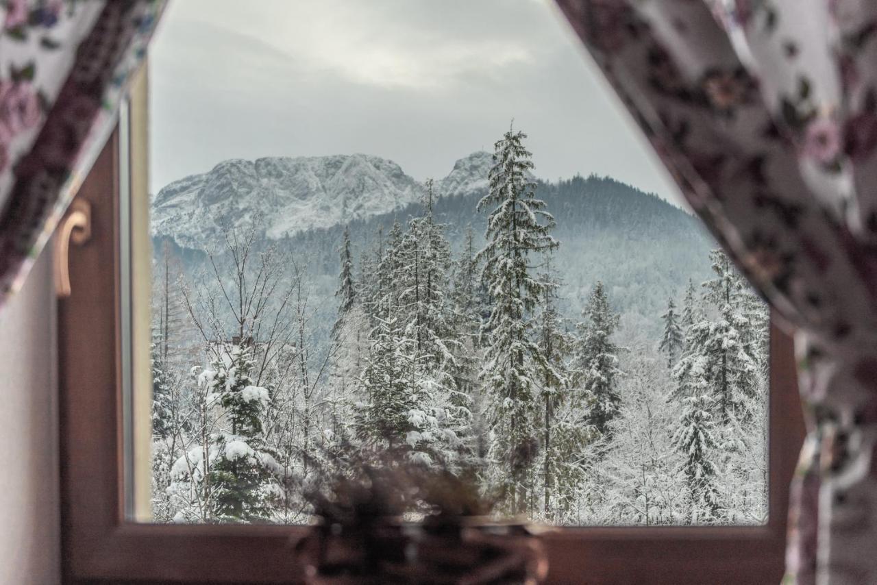 Apartamenty Villa Ski-Bowki Zakopane Eksteriør billede