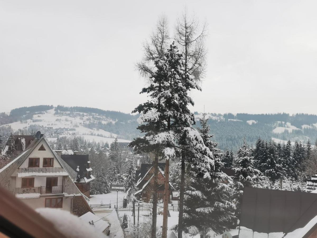 Apartamenty Villa Ski-Bowki Zakopane Eksteriør billede